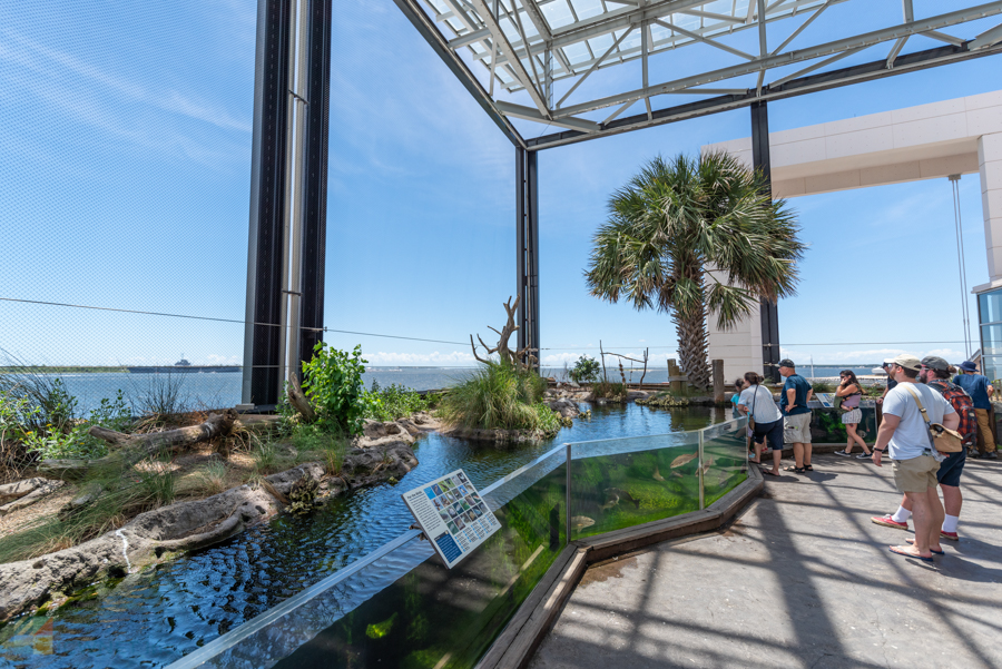 SC Aquarium Charleston