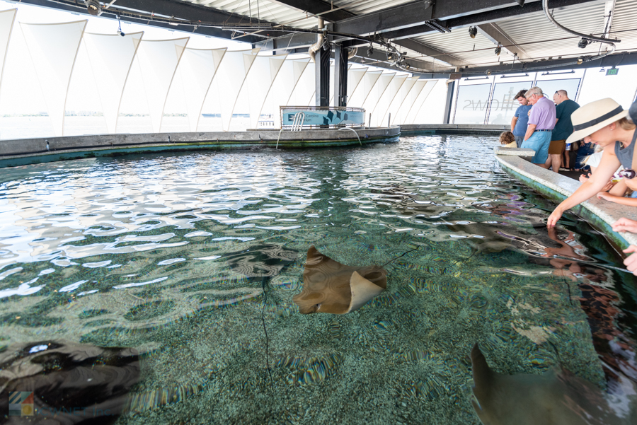 SC Aquarium Charleston