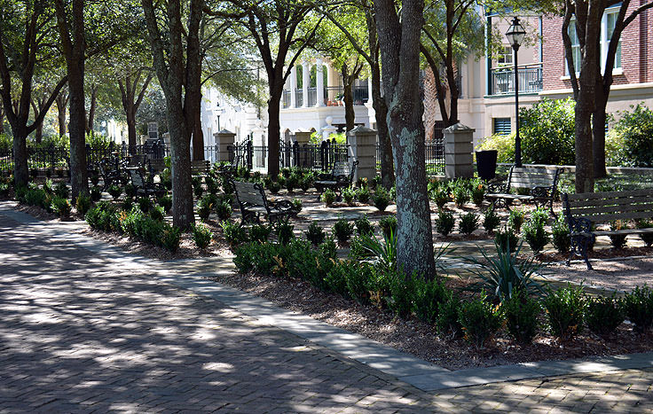 Shaded benches at Waterfront Park in Charleston, SC