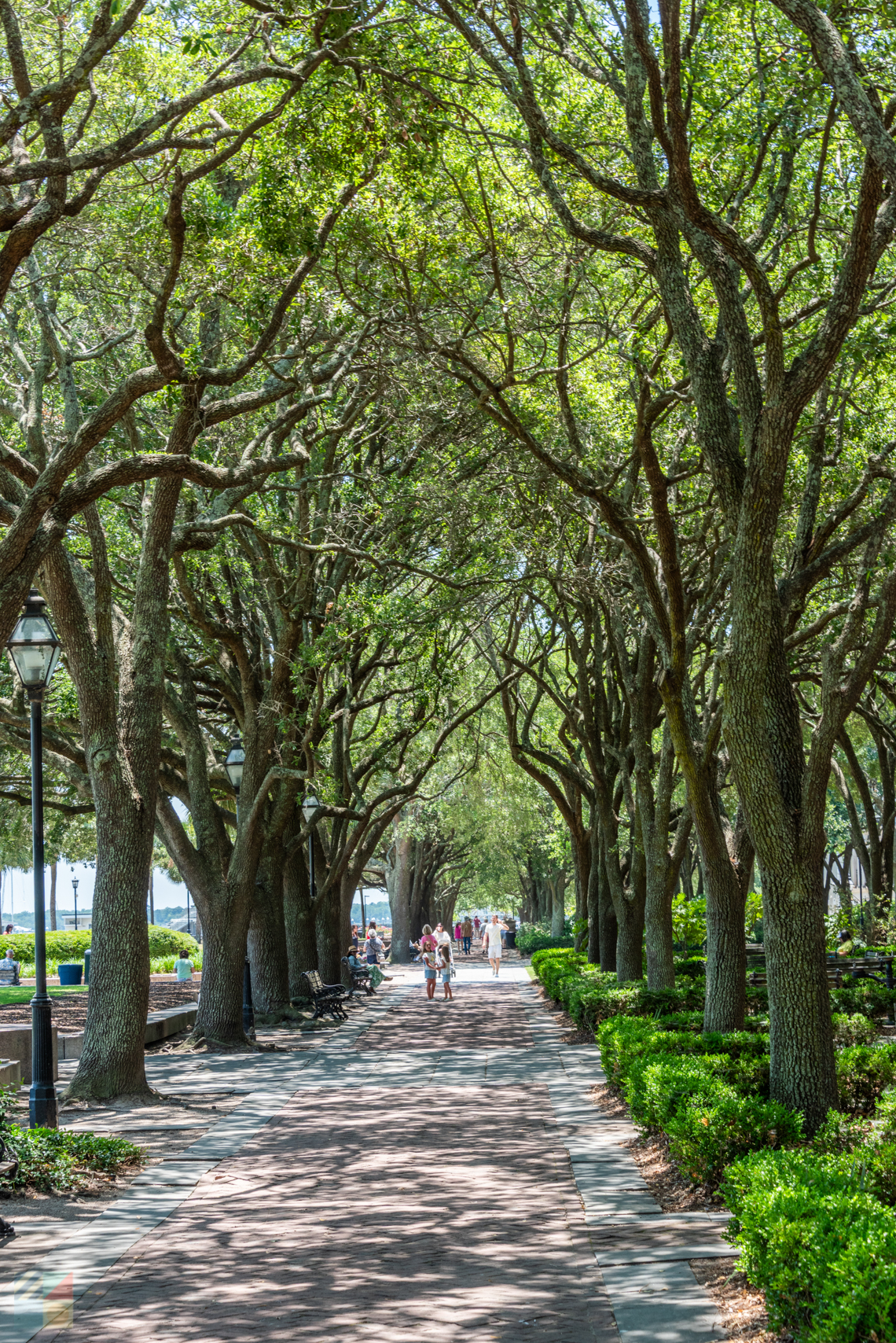 Charleston Waterfront Park in Charleston SC