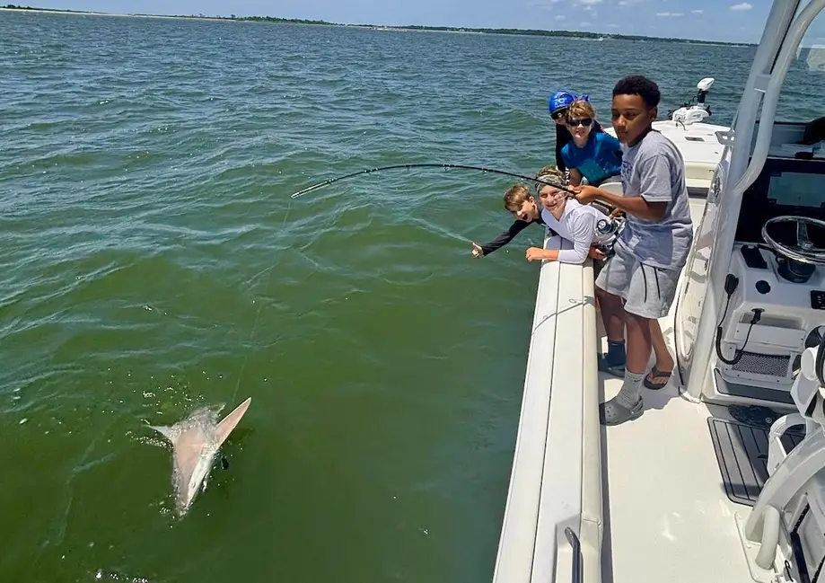 Shark Fishing Charter - 3 Hours